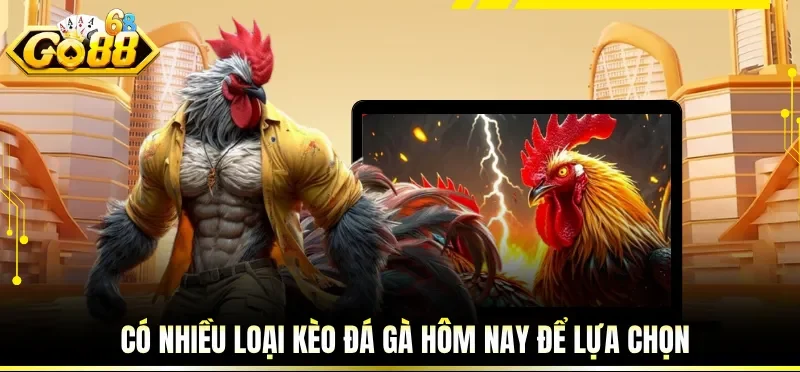 Kèo Đá Gà Hôm Nay - Cập Nhật Mới Nhất Từ Nhà Cái GO88 3 Có nhiều loại kèo đá gà hôm nay để lựa chọn